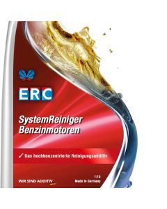 SystemReiniger Benzinmotoren